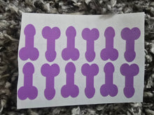 Load image into Gallery viewer, "Dozen Dicks" set of 12 Dick Stickers